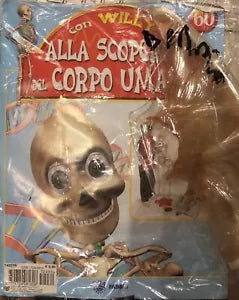 Alla scoperta del corpo umano con Willy n 60 Sterno di Aa vv