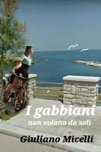 I gabbiani non volano da soli di Giuliano Micelli