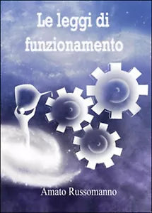 Le leggi di funzionamento - Amato Russomanno, 2014, Youcanprint