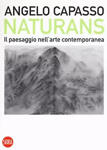 Naturans Il paesaggio nell arte contemporanea