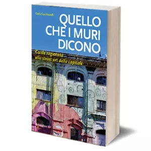 Quello che i muri dicono di Carla Cucchiarelli, 2018, Iacobelli Editore