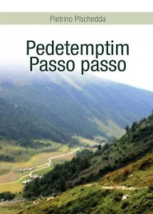 Pedetemptim - Passo passo di Pietrino Pischedda, 2016, Youcanprint