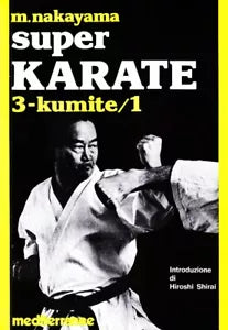 Super karate Kumite 1