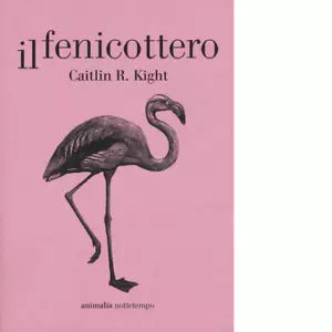 Il fenicottero di Caitlin R Kight