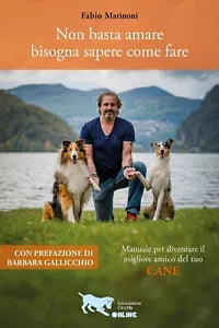 Non basta amare bisogna sapere come fare di Fabio Marinoni, 2020, Youcanprint
