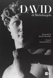 Il David di Michelangelo