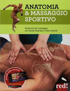Anatomia massaggio sportivo