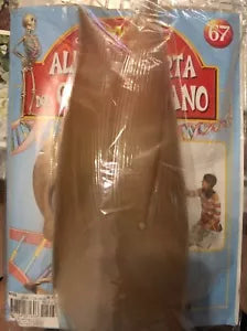 Alla scoperta del corpo umano con Willy n 67 Bicipite femorale di Aa vv