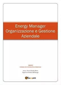 Energy Manager - Organizzazione e Gestione Aziendale di Gabriele Uberti, 2016