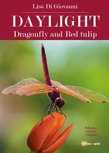 Daylight. Dragonfly and Red tulip. Ediz. italiana di Lisa Di Giovanni, 2018, Y