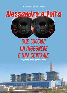 Alessandro e Volta. Due cuccioli, un ingegnere e una centrale di Mario Romano,