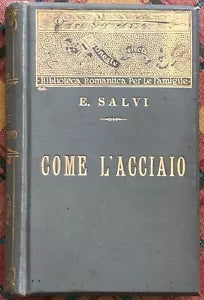 Come l acciaio di Edvige Salvi