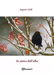 In attesa dell alba di Augusto Galli