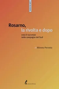Rosarno, la rivolta e dopo. Cosa e successo nelle campagne del Sud di Mimmo Perr