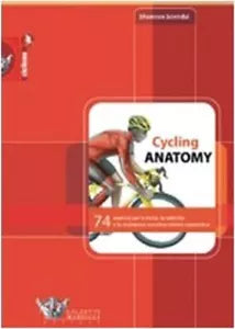 Cycling anatomy