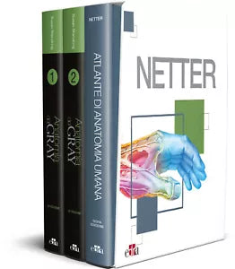 Netter Gray