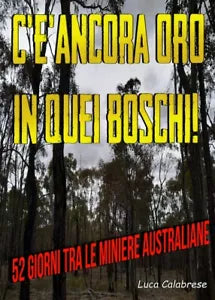 C’e ancora oro in quei boschi di Luca Calabrese, 2020, Youcanprint