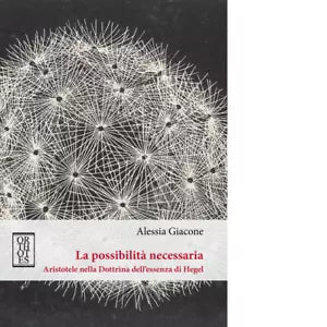 La possibilit necessaria di Alessia Giacone