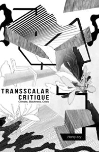 TRANSSCALAR CRITIQUE