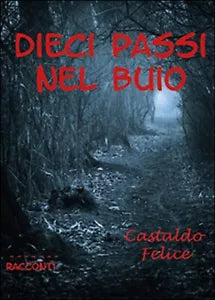 Dieci passi nel buio di Felice Castaldo, 2016, Youcanprint
