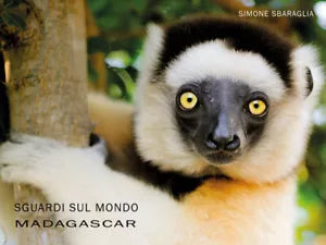 Sguardi sul Mondo: Madagascar di Simone Sbaraglia, 2021, Youcanprint