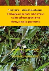 Il selvatico in cucina: erbe amare e altre erbacce spontanee. Piante, consigli e