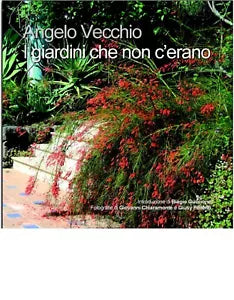 I GIARDINI CHE NON C’ERANO di Angelo Vecchio, 2020, Edizioni La Rocca