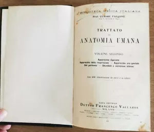 Trattato di anatomia umana vol. 2 - C. Falcone - Francesco Vallardi - 1931 - AR