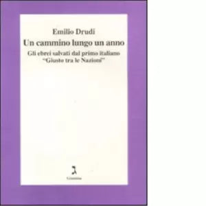 Un cammino lungo un anno di Emilio Drudi