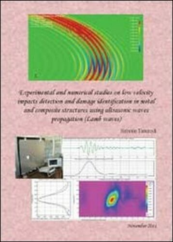Experimental and numerical studies di Simone Tancredi, 2012, Youcanprint - ER