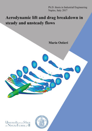 Aerodynamic Lift and Drag Breakdown in Steady and Unsteady Flows-Mario Ostieri-P