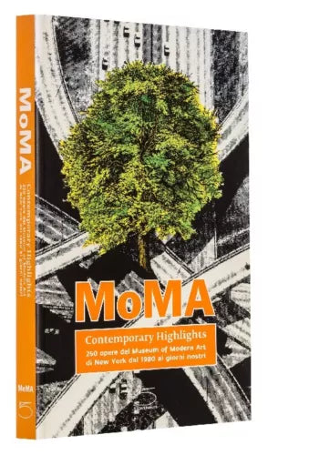 Moma contemporary highlights - A. Bergamin , 2009 - 5 Continents - C