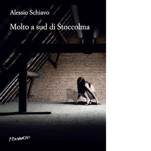 Molto a sud di Stoccolma di Alessio Schiavo