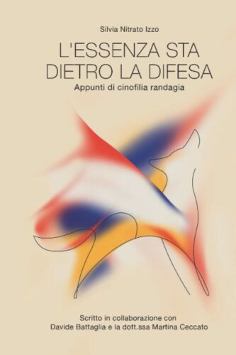 L essenza sta dietro la difesa