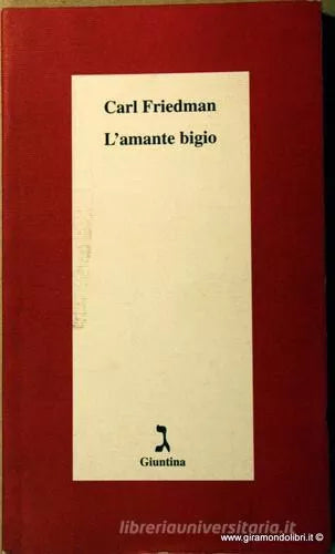 L amante bigio di Carl Friedman