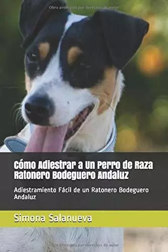 C mo Adiestrar a Un Perro de Raza Ratonero Bodeguero Andaluz
