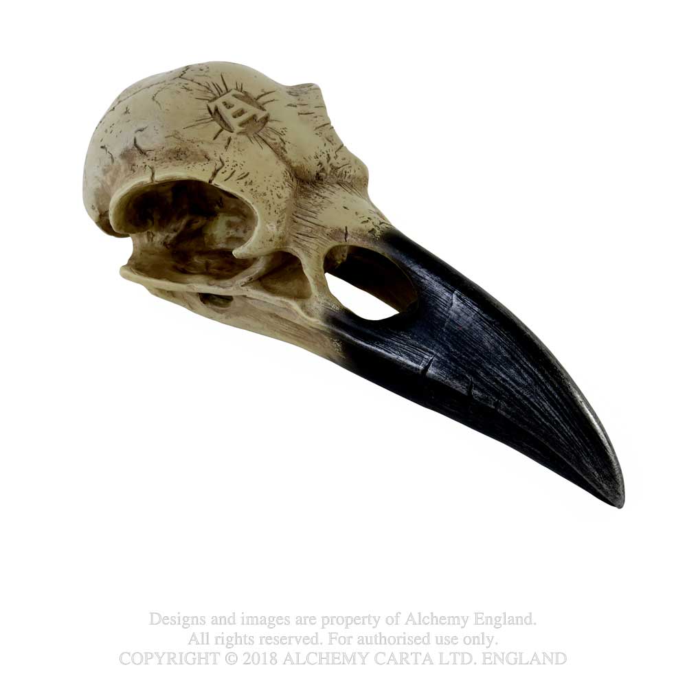 Alchemy: Corvus Alchemica (Teschio)