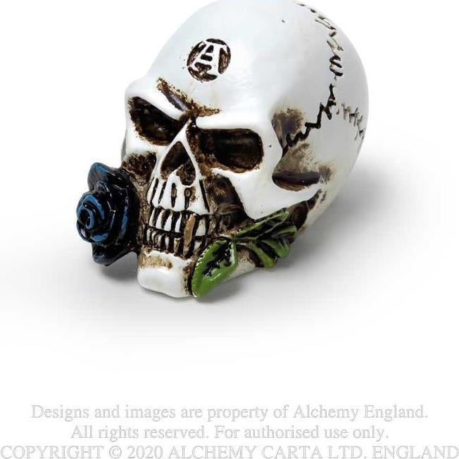 Alchemy: Alchemist Skull Collectible Miniature