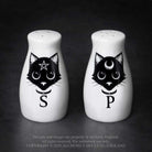 Alchemy: Cats: Salt & Pepper Set
