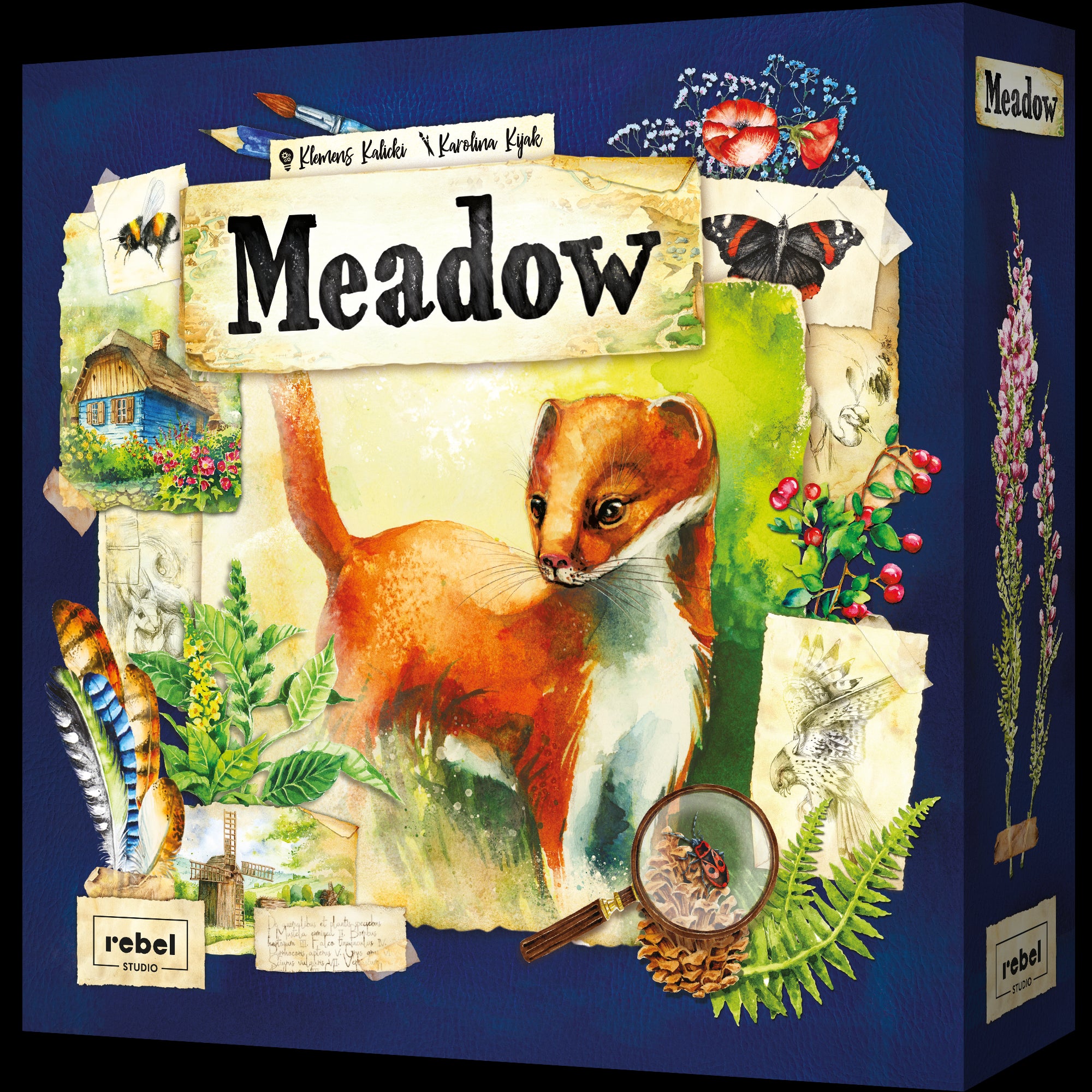 Asmodee: Meadow