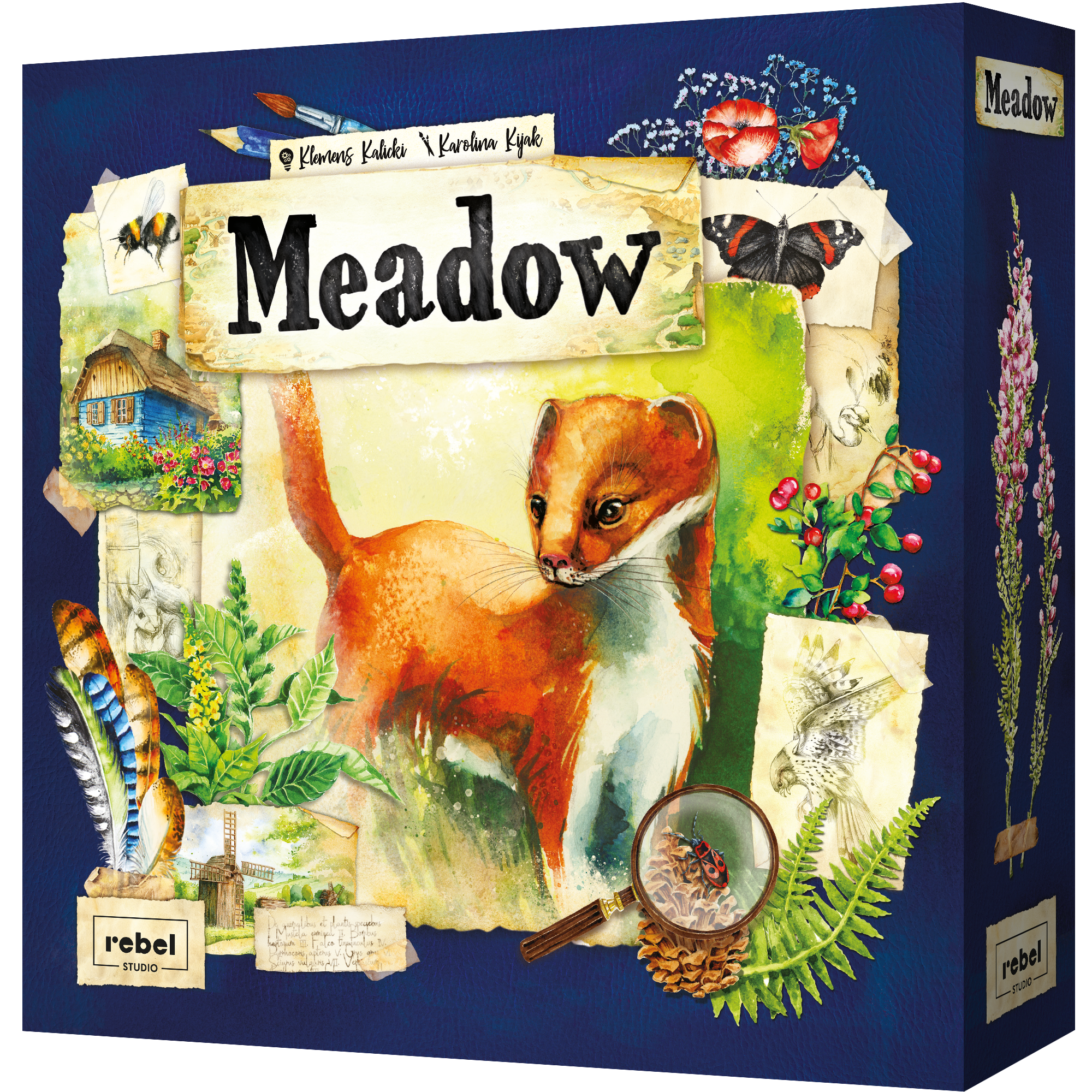 Asmodee: Meadow
