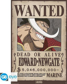 One Piece - Poster Maxi 91.5X61 - Wanted Whitebeard