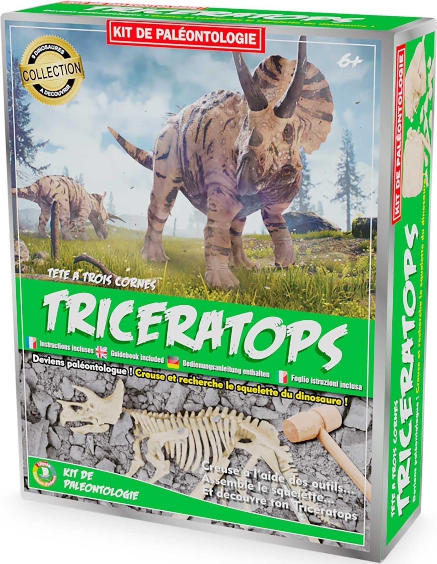 Ulysse: Excavation Kit - Triceratops