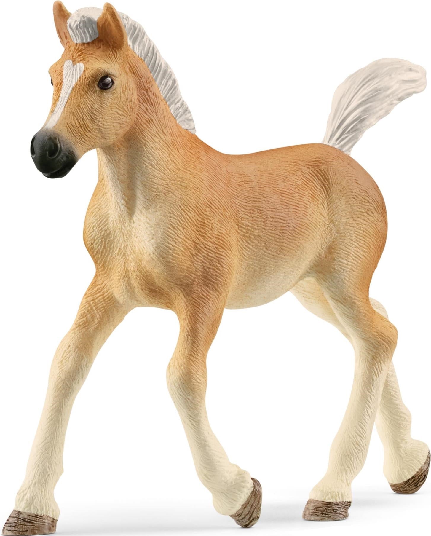 Schleich: Horse Club - Puledro Avelignese