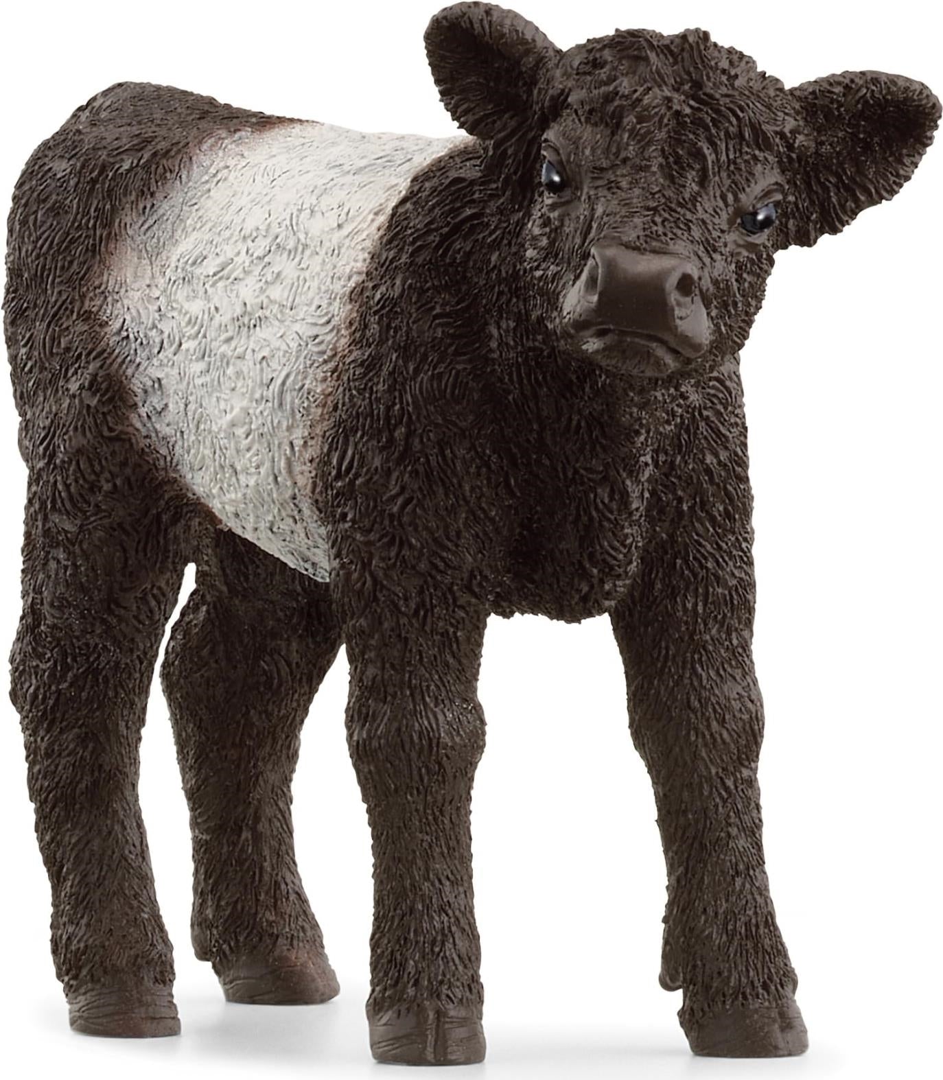 Schleich: Farm World - Vitello Galloway