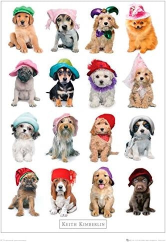 Keith Kimberlin: Hats (Poster Mini 40x50 Cm)