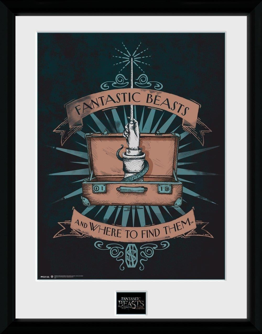 Fantastic Beasts: Illustration (Stampa In Cornice 30x40 Cm)