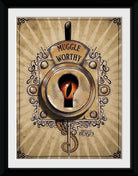 Fantastic Beasts: Muggle Worthy (Stampa In Cornice 30x40 Cm)