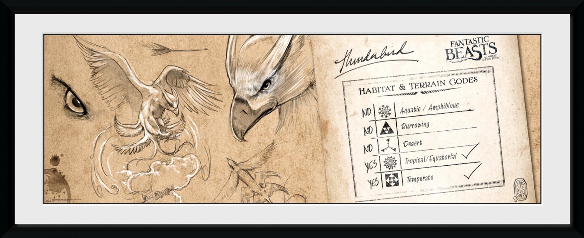 Fantastic Beasts: Thunderbird (Stampa In Cornice 75x30 Cm)