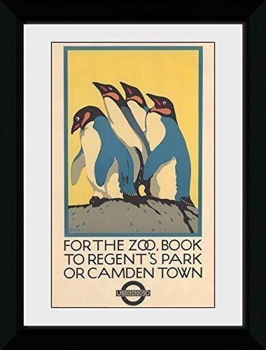 Transport For London: Zoo (30Mm Black) (Stampa In Cornice 50x70 Cm)